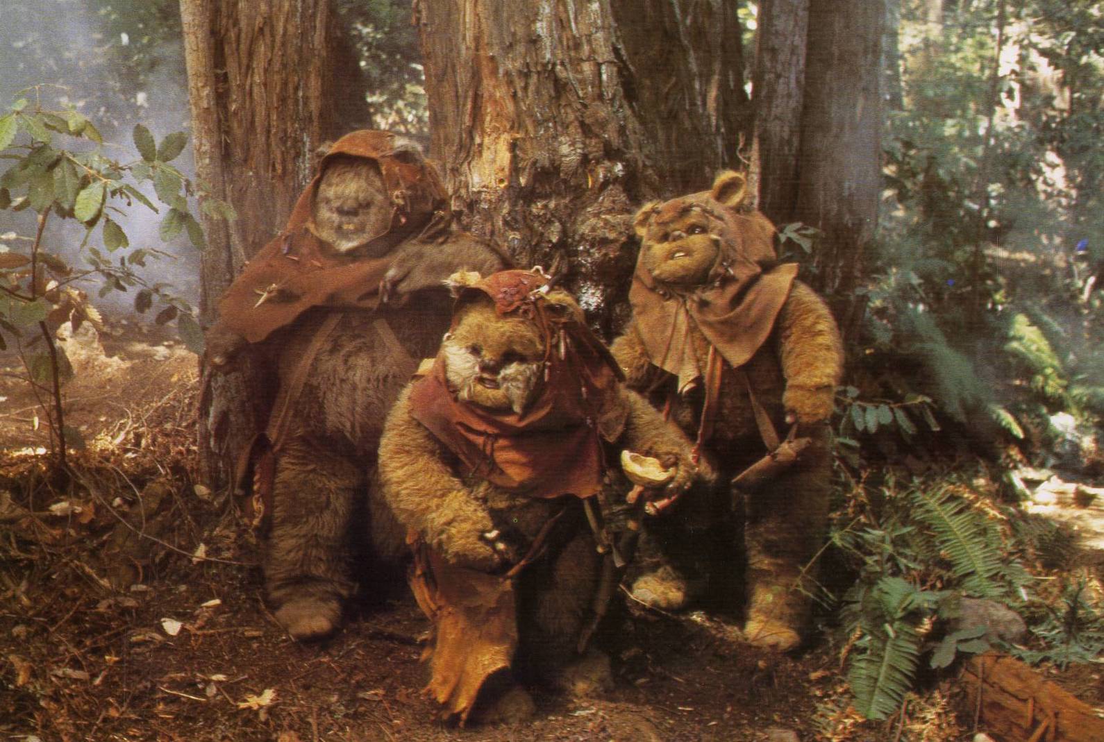 The Ewok Adventure (1984) Screenshot 2