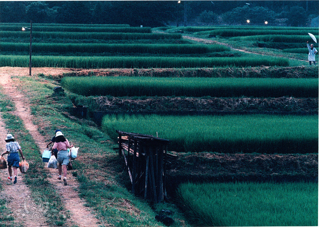 Rhapsody in August (1991) Screenshot 2