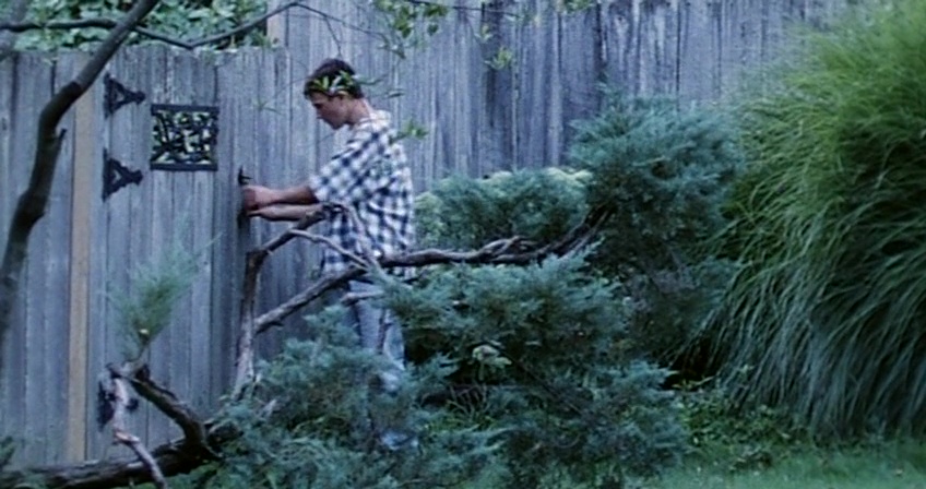 The Delta (1996) Screenshot 4