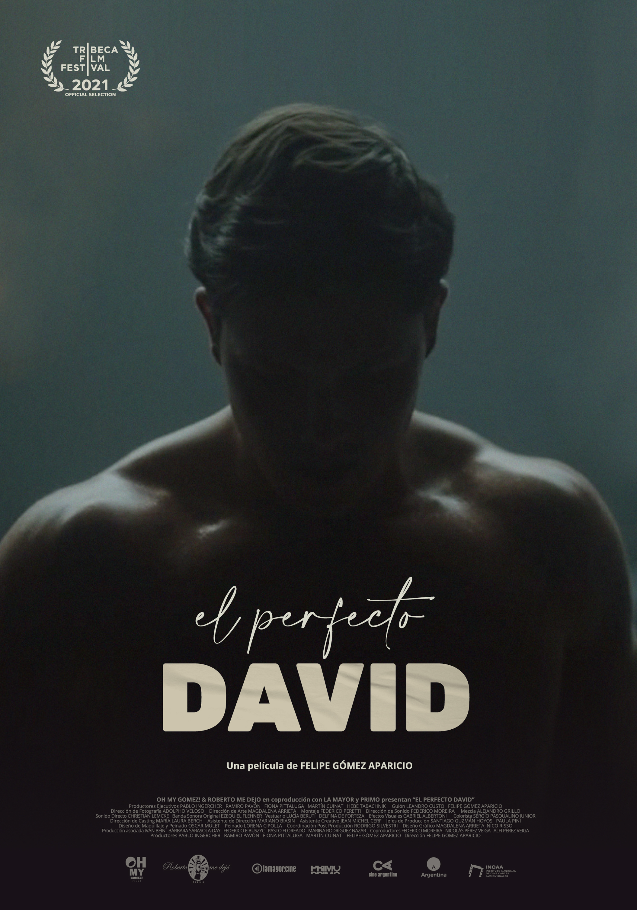 The Perfect David (2021) Screenshot 1