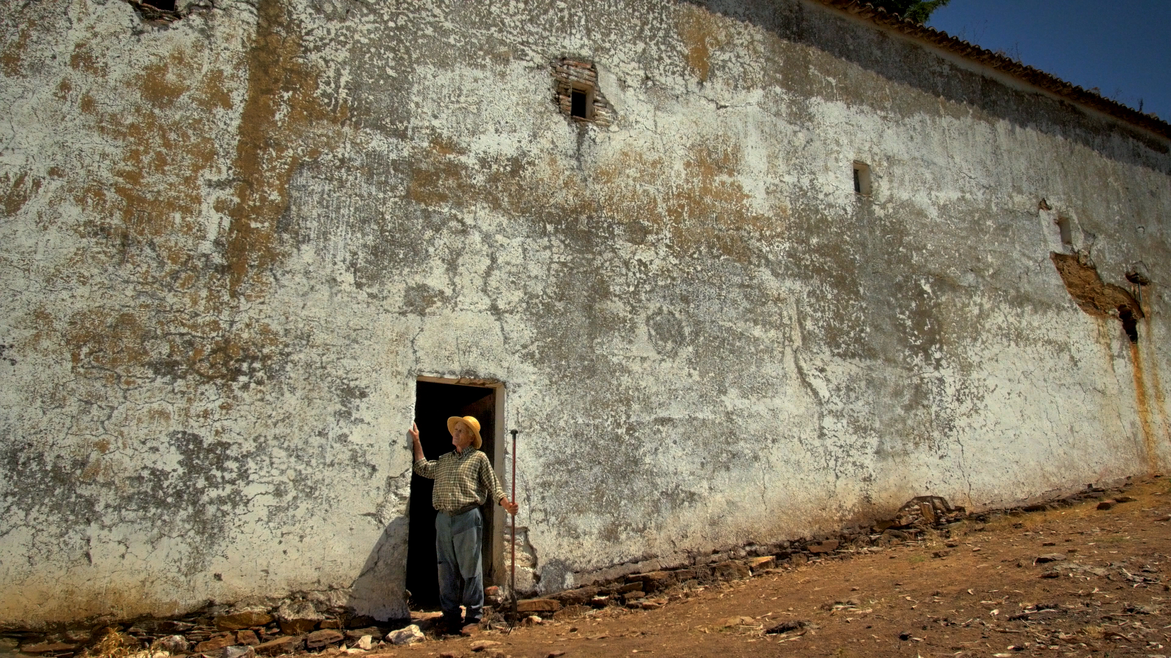 Farpões, baldios (2017) Screenshot 2