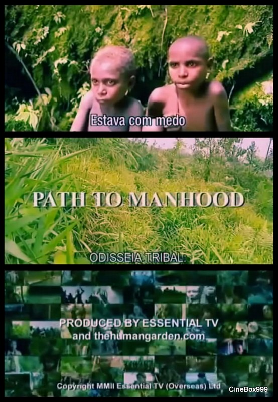 Path to Manhood The Mek, Papua New Guinea 2004 (DVD)