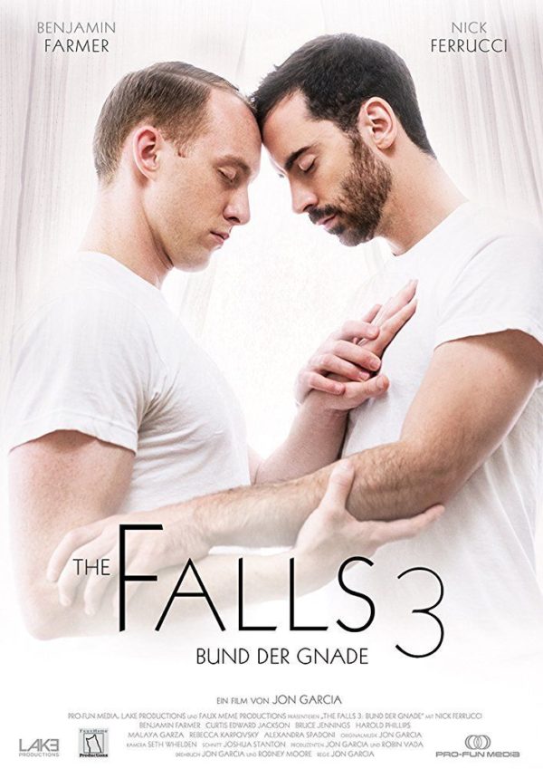 Falling for Angels (2017) DVD