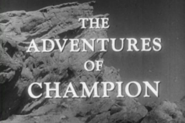 The Adventures of Champion (DVD)