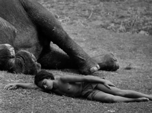 Elephant Boy 1937 4