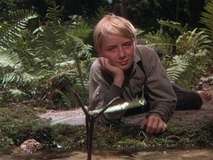 The Yearling 1946 7