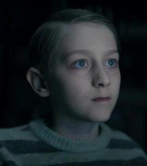 Dear-David-2023