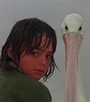 Storm-Boy-1976